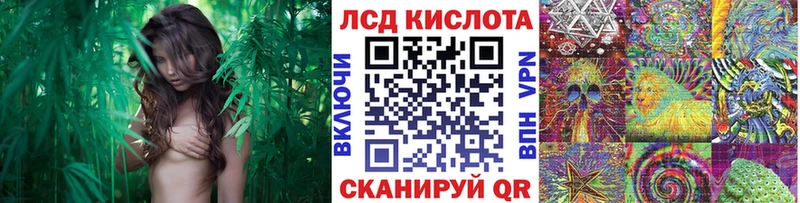 Марки N-bome 1500мкг  купить   Починок 